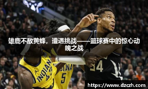 必威betway西汉姆联官网